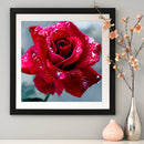 DIY Roses Diamond Painting Cross Stitch Embroidery Mosaic Kit Room Decor