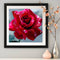 DIY Roses Diamond Painting Cross Stitch Embroidery Mosaic Kit Room Decor