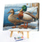 Lakeside Duck Oil Paint By Numbers Kit DIY Acrylic Painting on Canvas Frame