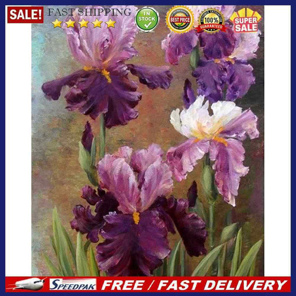 Oil Paint By Numbers Wall Art Posters Picture Craft Kit Gift Home Decoratio
