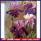 Oil Paint By Numbers Wall Art Posters Picture Craft Kit Gift Home Decoratio
