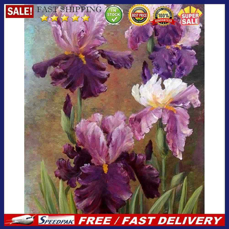 Oil Paint By Numbers Wall Art Posters Picture Craft Kit Gift Home Decoratio