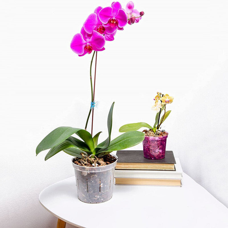 5pcs Orchid Planting Pots Transparent Seedling Garden Flower Pot (no Base) Newly