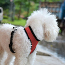 #A Reflective Cat Dog Collar Harness Comfortable Harness Collar for Outdoor Walk