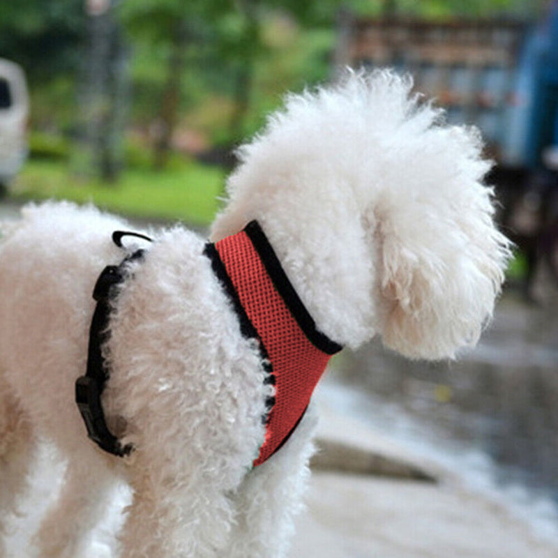 #A Reflective Cat Dog Collar Harness Comfortable Harness Collar for Outdoor Walk