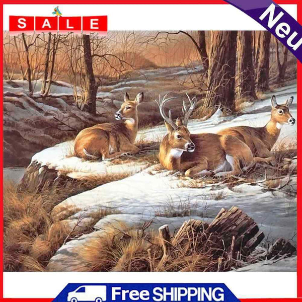 Frameless Oil Paint By Numbers Wall Art Posters Picture Craft Kit Home Gifts