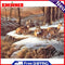 Frameless Oil Paint By Numbers Wall Art Posters Picture Craft Kit Home Gifts