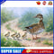 #A Bushes Animals Oil Paint By Numbers Kit DIY Frameless Drawing for Adults Ho