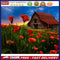 Canvas Painted Oil Paint By Numbers Cabin Flowers Wall Art Modern Bedroom D