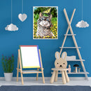 #A 5D DIY Full Round Drill Diamond Painting Cat Home Art Craft Mosaic Kit 30x4