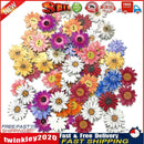 50pcs Wooden Chrysanthemums Sewing Buttons DIY Scrapbooking Clothes Decor Newly