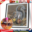 5D DIY Full Drill Diamond Painting Squirrel Cross Stitch Embroidery Kit Newly