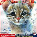 5D DIY Cute Kitten Full Round Diamond Painting Kit Picture Artwork Craft Newly