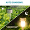 10pcs LED Solar Light Mini Steel Tube Lawn Stake Lamp Garden Decor (Warm) Newly