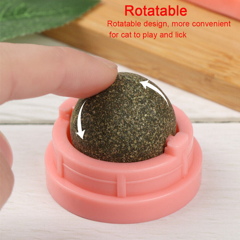 Digestion Rotatable Healthy Pet Food Kitten Snacks Catnip Sugar Cat Energy Ball