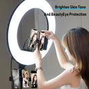 Video Conference Lighting Kit Clip on 6 inch Ring Light for Laptop Monitor Newly