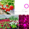 Full-Spectrum Intelligent Timing Plants Flowers Seedlings USB Sunlight Phytol