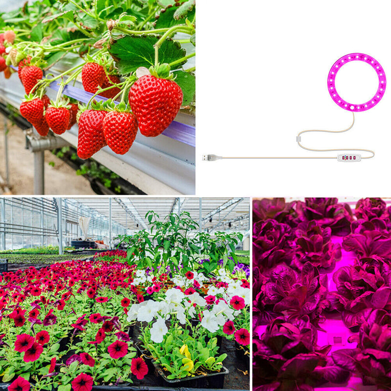 Full-Spectrum Intelligent Timing Plants Flowers Seedlings USB Sunlight Phytol