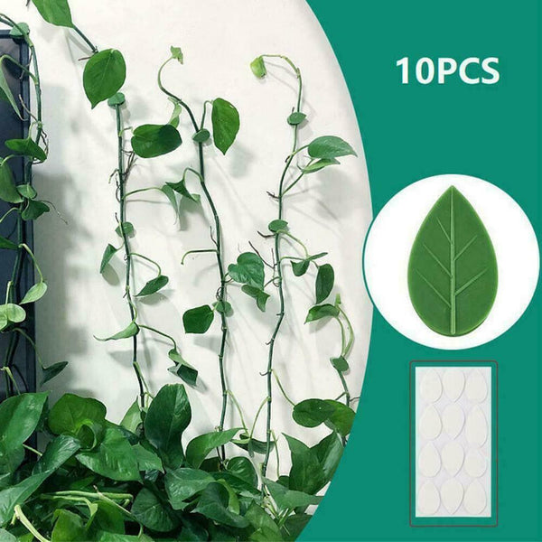 10PCS Invisible Wall Vines Fixture Sticky Hook Clip Ties Plant Climbing S8Z6