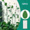 10PCS Invisible Wall Vines Fixture Sticky Hook Clip Ties Plant Climbing S8Z6