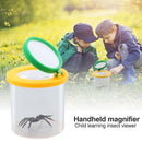 Cylindrical Crawler Spider Insect Box Magnifying Glass Magnifier (Yellow) Newly