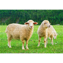 1000pcs DIY Grass Sheep Paper Puzzle Educational Jigsaw Handmade Assembling Toys