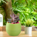 Plastic Round Small Flower Pot Indoor Unbreakable Bonsai Plant Pot (Green)