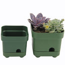Plastic Plant Container Bottom Tray Planter Flower Pots Plant Pot Succulent Box