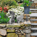 Gothic Dragon Statues Fantasy Animal Dragon Figures Garden Decor (White) Newly
