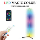 Aluminum Alloy Symphony RGB Floor Lamp Dimmable Color Changing LED Foot Lamp