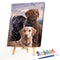 DIY Paint By Number Kit Dog Animal Series No Frame for Home Decoration Art