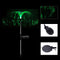 Solar Jellyfish Lights RGB Color Changing Waterproof Outdoor Ground Lamp Newly