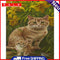 Cats Oil Paint By Numbers DIY Coloring Picture Kits for Adults Children Crafts