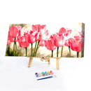 DIY Acrylic Paint by Numbers Oil Paint Kit Beautiful Flower Coloring by Numbe