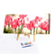 DIY Acrylic Paint by Numbers Oil Paint Kit Beautiful Flower Coloring by Numbe