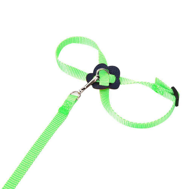 Parrot Leash Adjustable Harness Bird Anti Fly Outdoor Training Rope (Green)