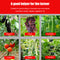 Plant Garden Tape Tool Cucumber Branch Vegetable Fruit Greenhouse Tying Devic