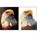 White Eagle 5D Diamond Painting Embroidery Kits DIY Mosaic Craft Home Decor