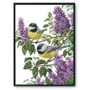 DIY Needlework Print Cross Stitch Kit 14CT Stamped Canvas (DA387 Two Birds)
