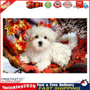 Dog Diamond Embroidery 5d Diamond DIY Painting Animal Cross Stitch Newly