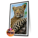 5D DIY Full Round Drill Diamond Painting Big Lion Animal Art Handmade Hanging