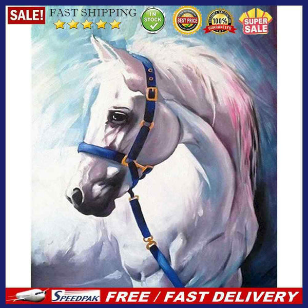 Fine Horse Oil Paint By Numbers Kit DIY Acrylic Painting on Canvas Frameless