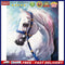 Fine Horse Oil Paint By Numbers Kit DIY Acrylic Painting on Canvas Frameless