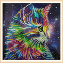 5D DIY Special Shaped Diamond Paint Multi Cat Cross Stitch Embroidery Kit Newly