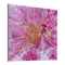 5D DIY Special Shaped Diamond Painting Pink Peafowl Cross Stitch Embroidery
