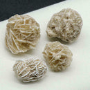 1/4 lb Bulk Desert Rose Selenite Stones Crystal Healing 4 Bud Stone) oz X5O1