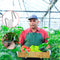 Tomato J Hook & Trellis Clips Set Plant Support Garden Tools Makes Plants Health