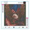 5D DIY Full Drill Diamond Painting Eagle Flag Cross Stitch Embroidery Kit Newly