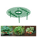 1Pcs Plant Plastic Tool Strawberry stand Growing Circle Support Rack Farming