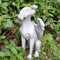 Angel Dog Garden Statue Gift Home Outdoor Decoration Courtyard Accessories Newly